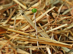 needle-in-a-haystack-gb83ae3a64_1920